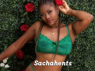 Sachahents