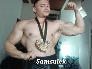 Samsulek