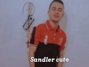 Sandler_cute