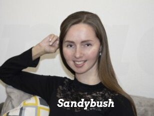 Sandybush