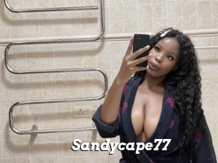 Sandycape77