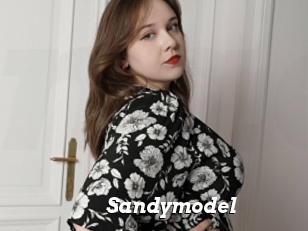 Sandymodel