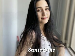 Saniedune