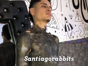 Santiagorabbits