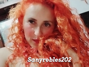 Sanyrobles202