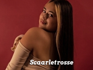 Scaarletrosse