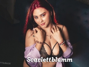 Scarlettblumm