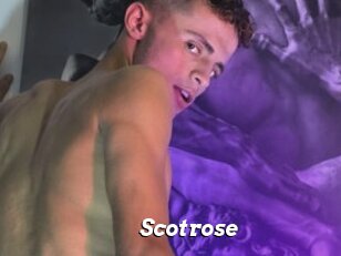 Scotrose