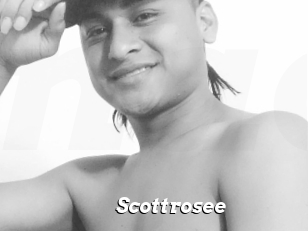 Scottrosee