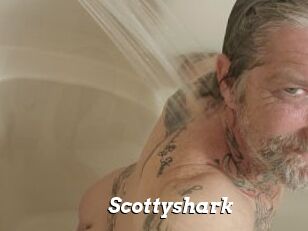 Scottyshark