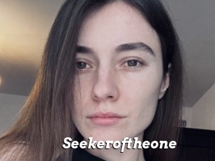 Seekeroftheone