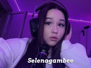 Selenagambee