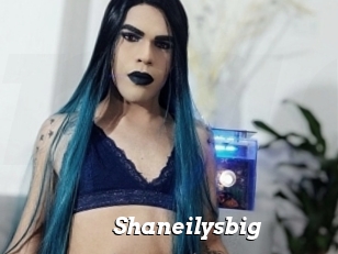 Shaneilysbig