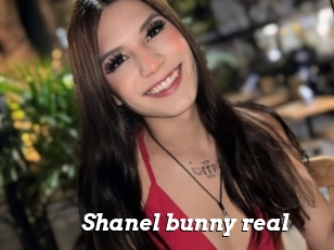 Shanel_bunny_real