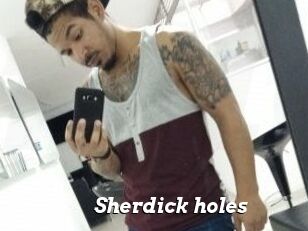 Sherdick_holes