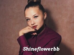 Shineflowerbb