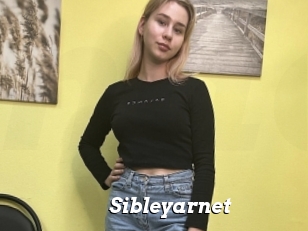 Sibleyarnet