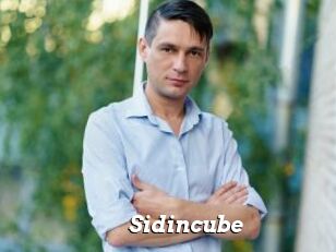 Sid_incube