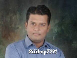 Siliboy7291