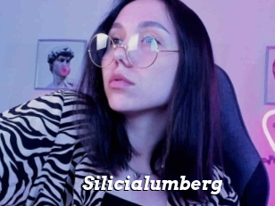 Silicialumberg