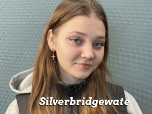 Silverbridgewate