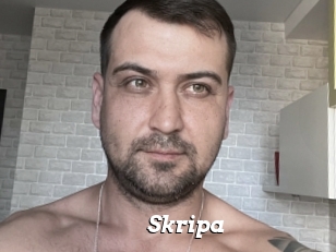 Skripa