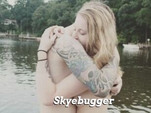 Skyebugger