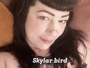 Skylar_bird