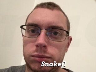 Snakefl