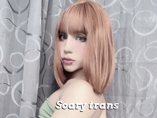 Soary_trans