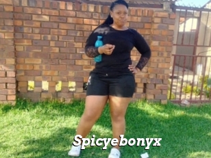 Spicyebonyx