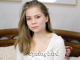 Springbird