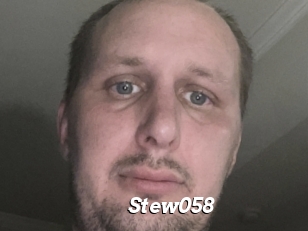 Stew058