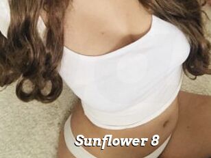 Sunflower_8