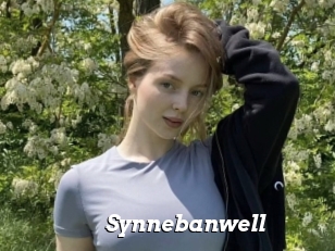 Synnebanwell