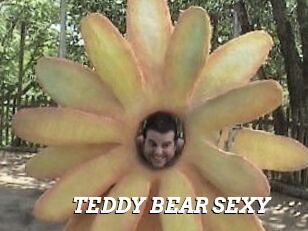 TEDDY_BEAR_SEXY