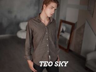 TEO_SKY