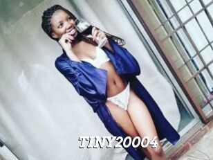 TINY20004