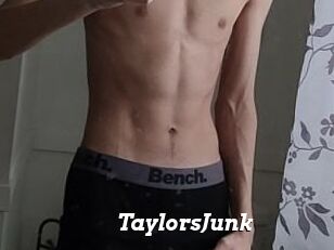 TaylorsJunk