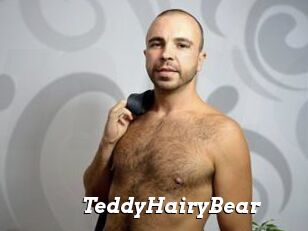 TeddyHairyBear