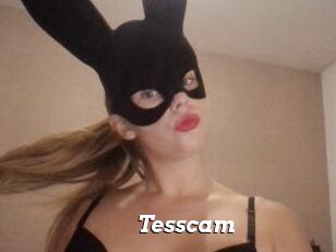 Tesscam