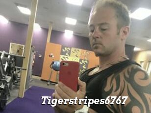 Tigerstripes6767