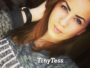 TinyTess