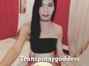 Transpinaygoddess