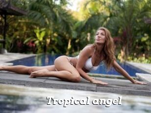 Tropical_angel