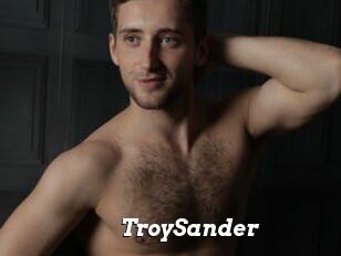 TroySander