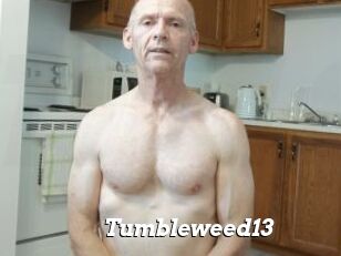 Tumbleweed13 Nice and quite
