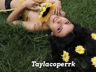 taylacoperrk Nice and quite