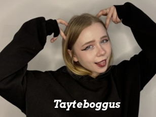 Tayteboggus