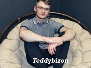 Teddybizon